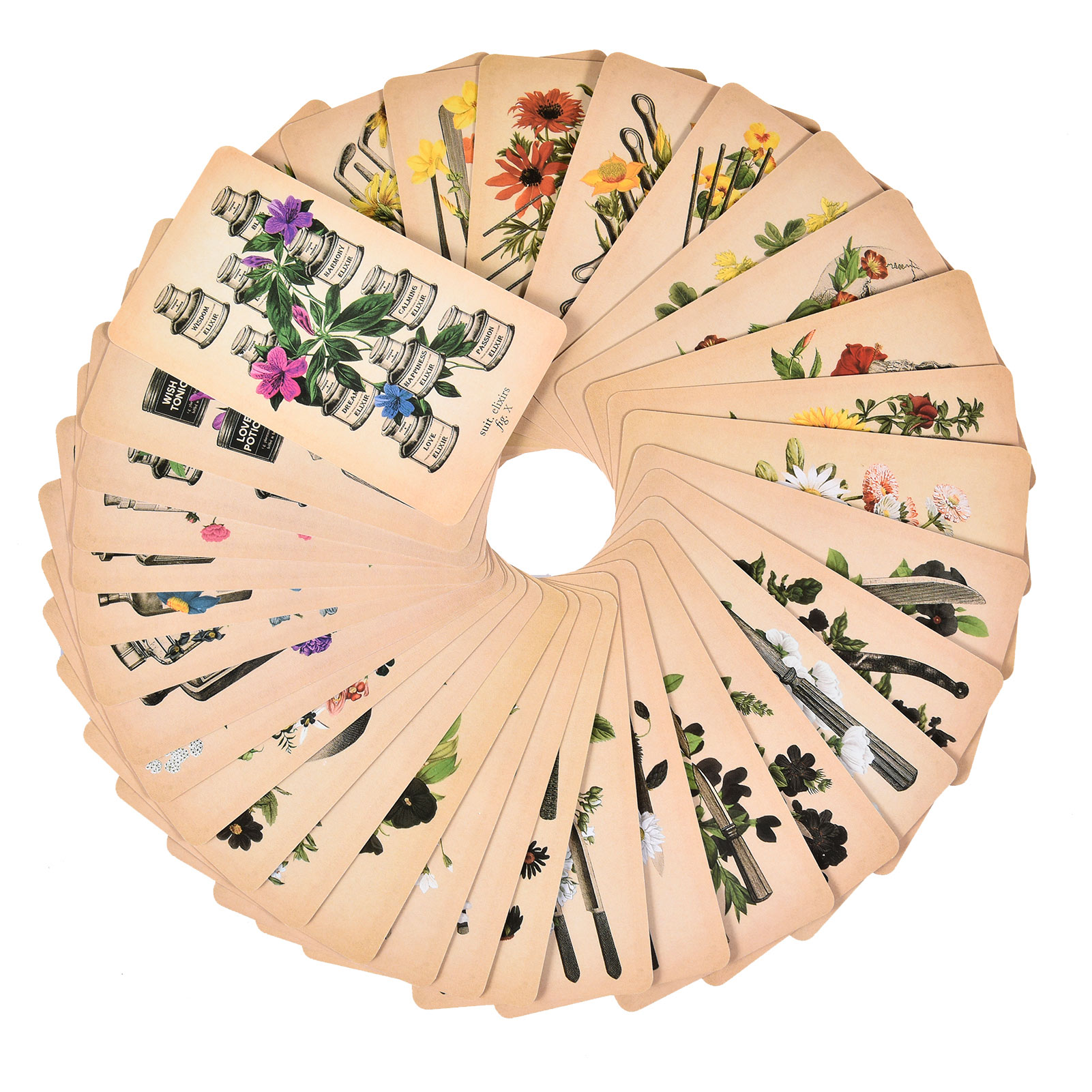 The Antique Anatomy Tarot Card - Tarot Cards Deck With Guidebook 评论和价格